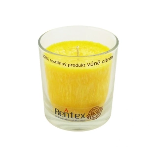 Palmová vonná svíčka ve skle citrón JBR válec
